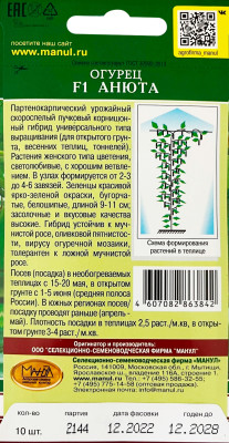 Огурец Анюта F1