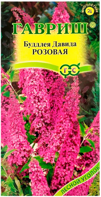 Буддлея ДАВИДА РОЗОВАЯ ГАВРИШ