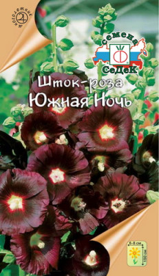 Шток-роза Южная ночь (т. бордовая)