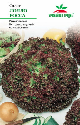 Салат Лолло Росса УГ