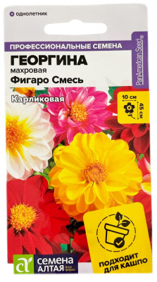 Георгина махровая ФИГАРО смесь карликовая Семена Алтая