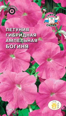 Петуния Богиня F1 каскадная