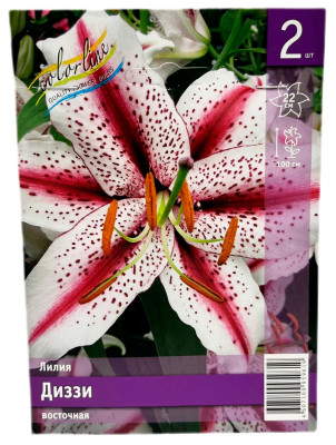 Лилия ДИЗЗИ восточная