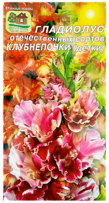 Гладиолус отечественных сортов КЛУБНЕПОЧКИ детки НАШ САД