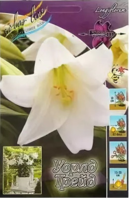 Лилия Уорлд Трейд (1шт) 5392