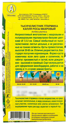 Тысячелистник птармика КАПЛЯ РОСЫ МАХРОВЫЙ АЭЛИТА описание