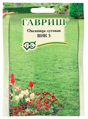 Овсяница луговая ВИК 5 ГАВРИШ