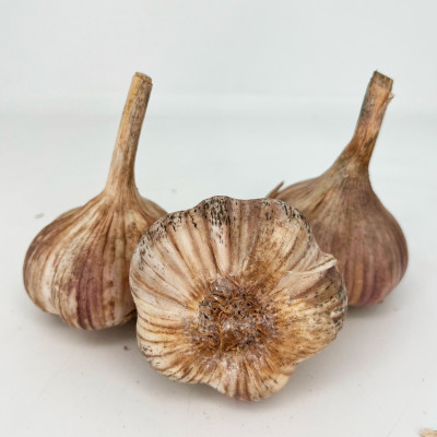 Чеснок головка Любовь (калибр 4-6) 3шт