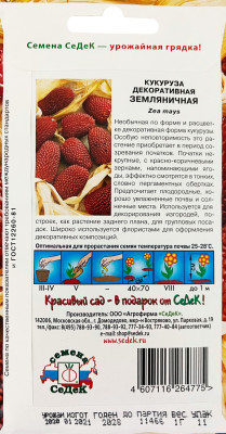 Кукуруза декоративная Земляничная
