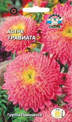 Астра Травиатта принцесса (малиново-красная)