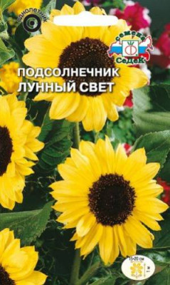 Подсолнечник Лунный Свет (лимонно-желтый) Подсолнечник Лунный Свет (лимонно-желтый)
