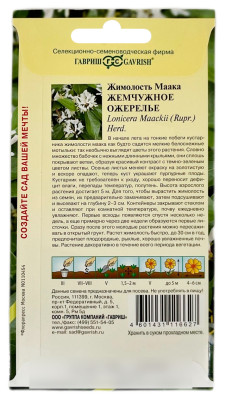 Жимолость Маака жемчужное ожерелье ГАВРИШ описание