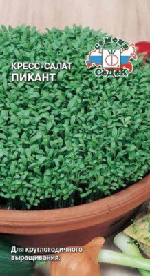 салат Пикант (кресс)