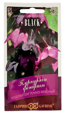 Родохитон темно красный ПУРПУРНЫЕ ФОНАРИКИ ГАВРИШ