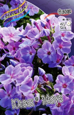 Флокс Юник Маув (2шт)