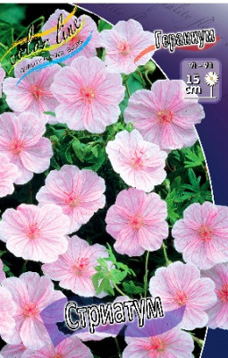 Гераниум Стриатум (2шт) 351