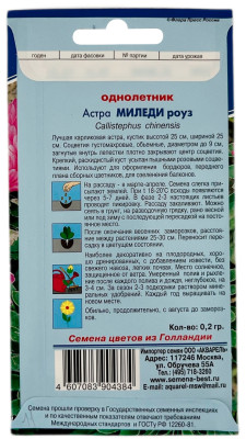 Астра МИЛЕДИ роуз АКВАРЕЛЬ описание