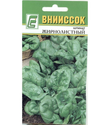 Шпинат Жирнолистный Внииссок