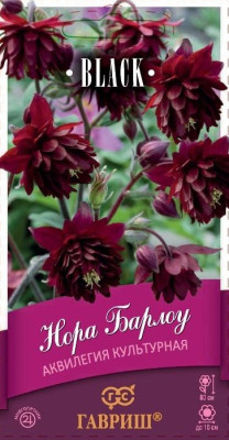 Аквилегия Нора Барлоу культурная 7шт серия Блэк