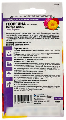 Георгина махровая ФИГАРО смесь карликовая Семена Алтая описание
