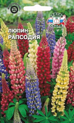 Люпин Рапсодия