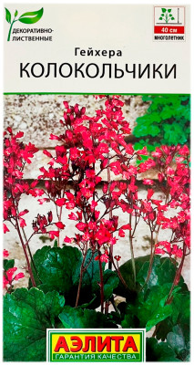 Гейхера колокольчики АЭЛИТА