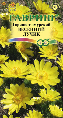 Горицвет (Адонис) амурский Весенний лучик 0,05г