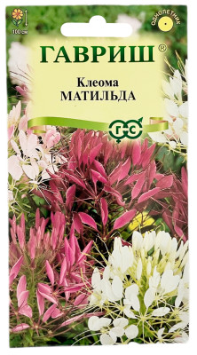 Клеома Матильда смесь ГАВРИШ