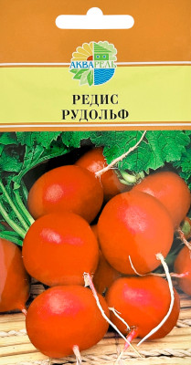 Редис Рудольф АКВАРЕЛЬ