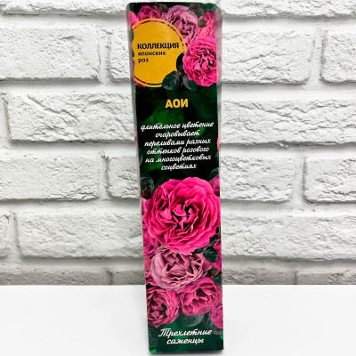 Роза японская АОИ