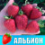 Земляника (Клубника) Альбион в стаканчике Земляника (Клубника) Альбион в стаканчике