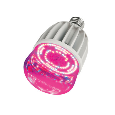 Лампа для растений Био М80-20W-Е27 UNIEL LED-M80-20W/SP/E27/CL ALS55WH