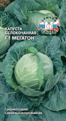 капуста Мегатон F1 (Б/К) (Евро, 15)