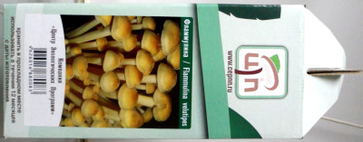 Грибы Мицелий в грибных грядках Опята зимние Фламмулина