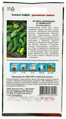 Огурец корнишон F1 БОЙСКАУТ СеДеК описание