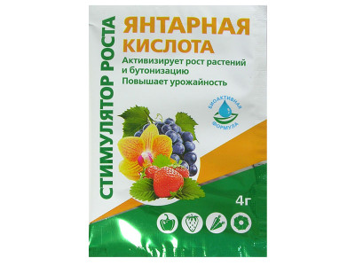 Янтарная кислота 4г Био-Мастер