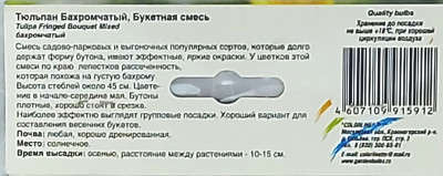 Тюльпан Букетная бахромчатая смесь (8шт)