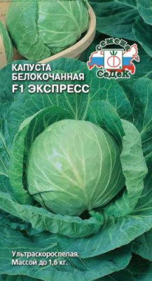 капуста Экспресс F1 (Б/К)