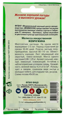 Мелисса лекарственная ЖЕМЧУЖИНА ВНИИССОК описание