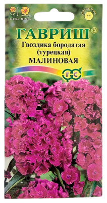 Гвоздика бородатая турецкая МАЛИНОВАЯ ГАВРИШ Гвоздика бородатая турецкая МАЛИНОВАЯ ГАВРИШ