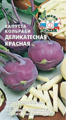 Трахелиум Посейдон (лиловый)