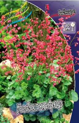 Гейхера Лейхткафер (1шт) 1892