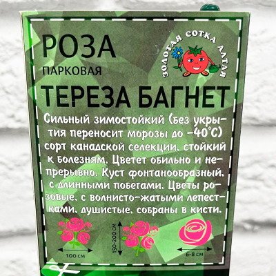 Роза парковая ТЕРЕЗА БАГНЕТ описание