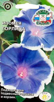 Ипомея Горлица (вид нил, голубая с белой каймой) (Евро)
