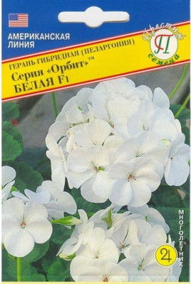 Пеларгония Герань Орбит Белая 5шт