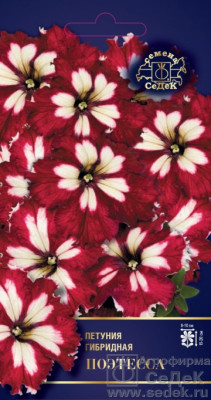 Петуния Поэтесса F1 (крупноцветковая) (Евро, 10; 8451    )