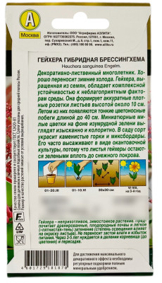 Гейхера гибридная брессингхема АЭЛИТА описание