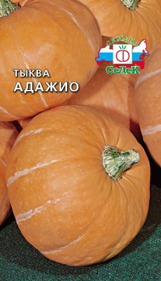 Тыква Адажио