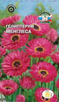 Гелиптерум Менглеса