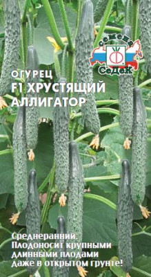 огурец Хрустящий Аллигатор F1
